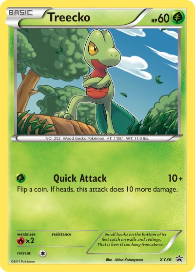 Treecko #XY36