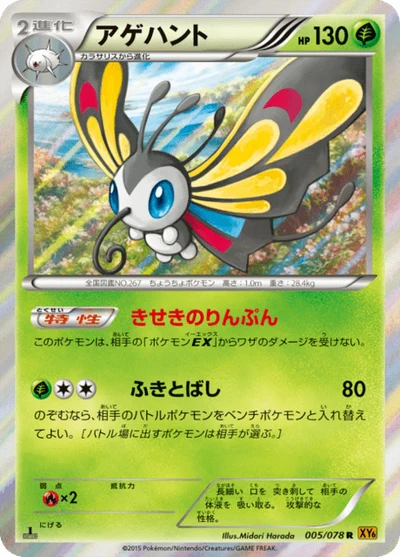 Beautifly #5