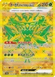 オーガポン みどりのめんex