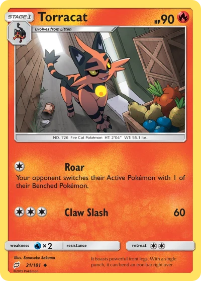 Torracat #21