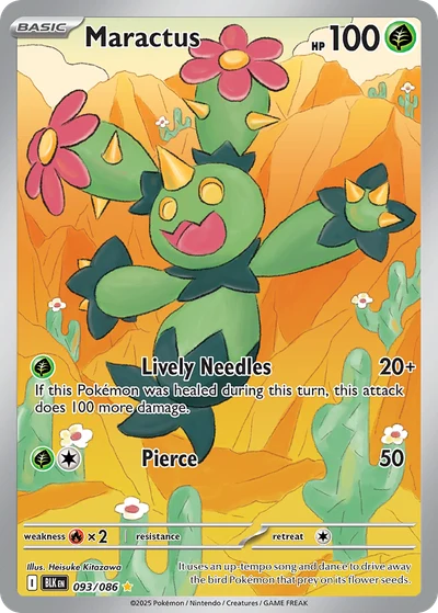 Maractus #093