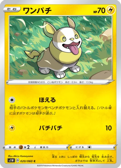 ワンパチ #20