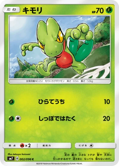 キモリ #2