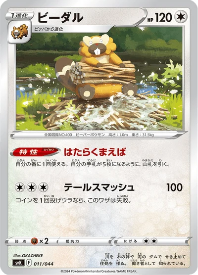 ビーダル #11