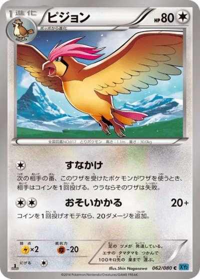 ピジョン #62