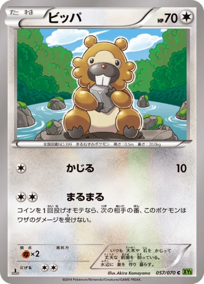 ビッパ #57