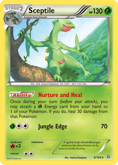 Sceptile #8