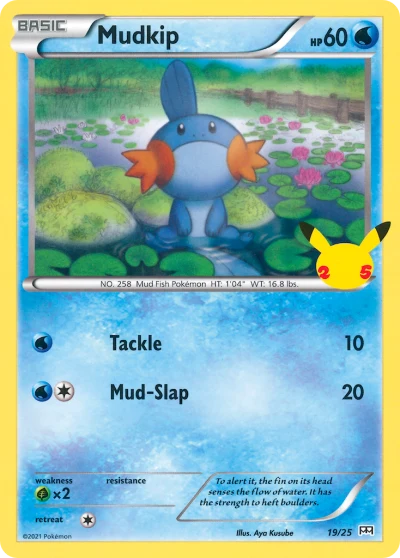 Mudkip #19