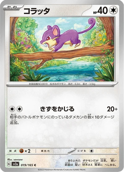 コラッタ #19