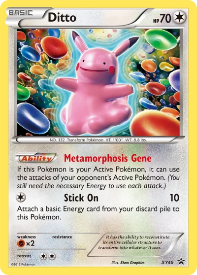 Ditto #XY40