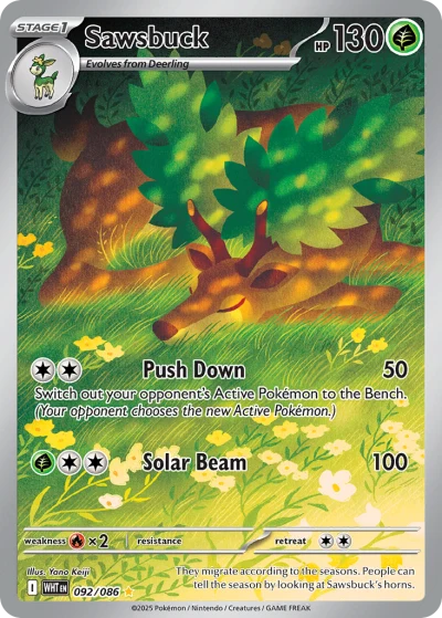 Sawsbuck #92