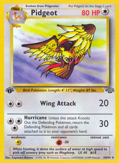 Pidgeot #24