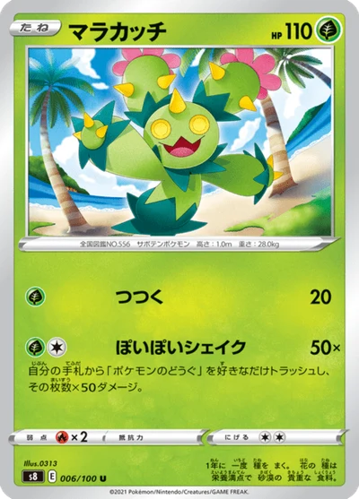 マラカッチ #6