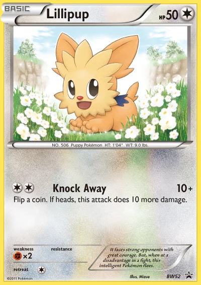 Lillipup #BW52