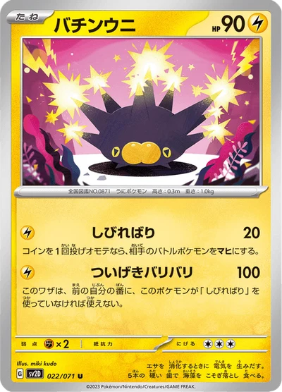 バチンウニ #22