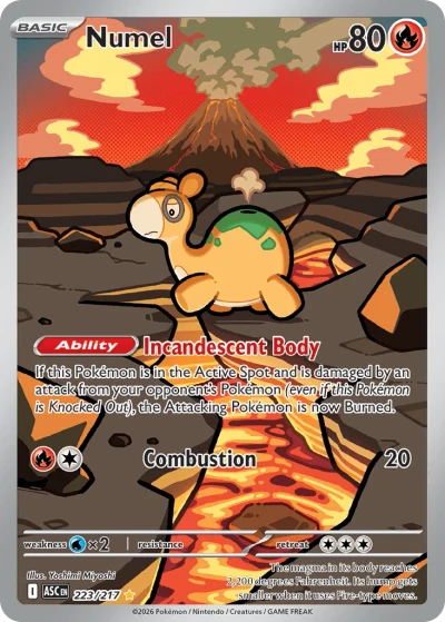 Numel #223