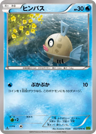ヒンバス #22