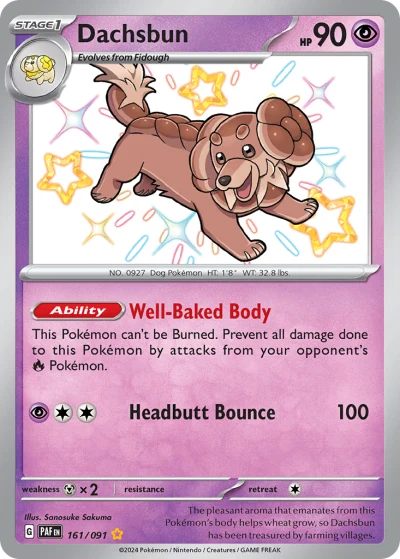 Dachsbun #161