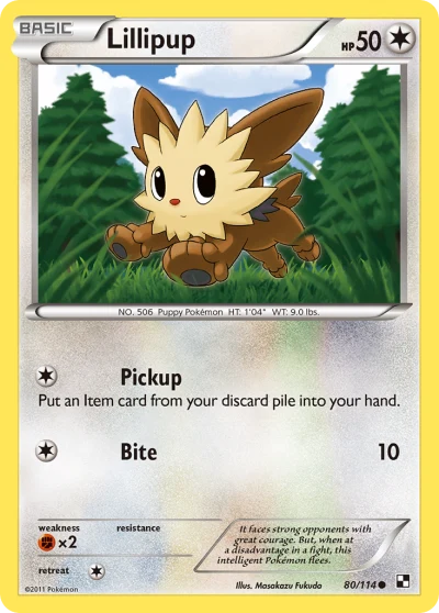 Lillipup #80