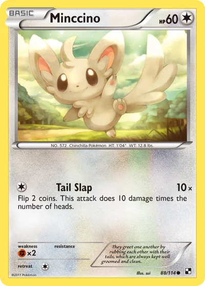 Minccino #88