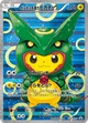 ポンチョを着たピカチュウ #230