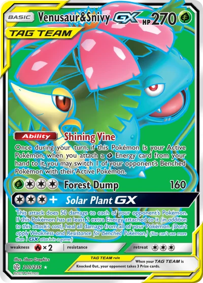 Venusaur & Snivy-GX #210