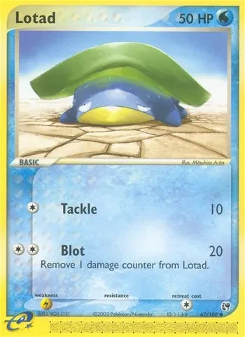 Lotad #67