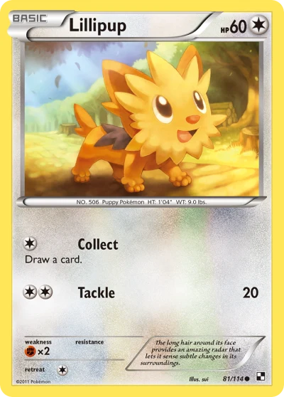 Lillipup #81