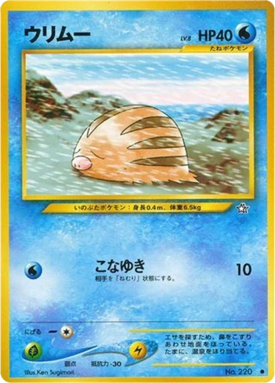 swinub #27