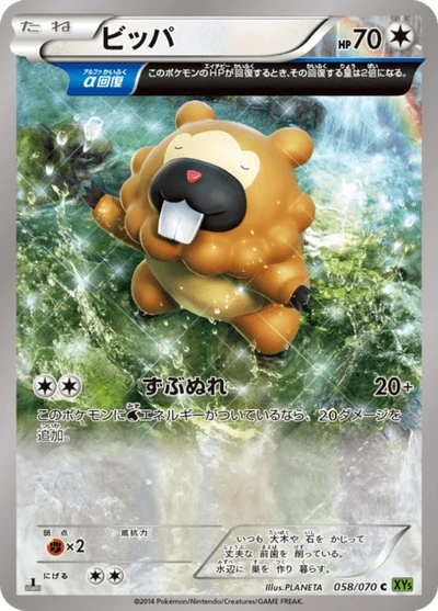 ビッパ #58