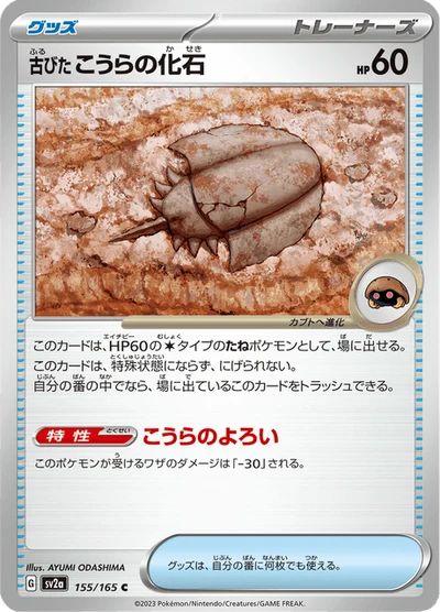 古びたこうらの化石 #155