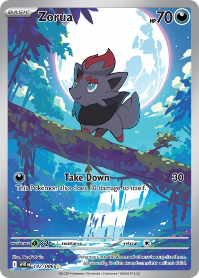 Zorua #142