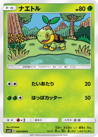 ナエトル #6