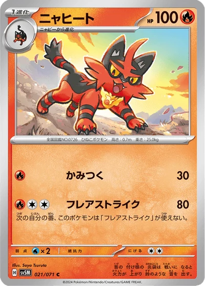 Torracat #21