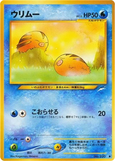 swinub #29