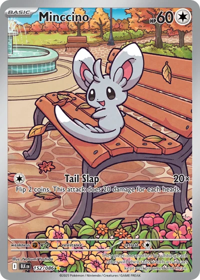 Minccino #152