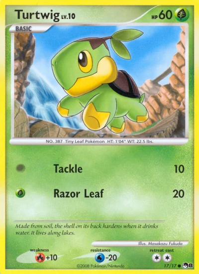 Turtwig #17