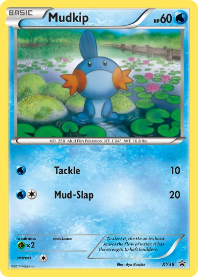 Mudkip #XY38