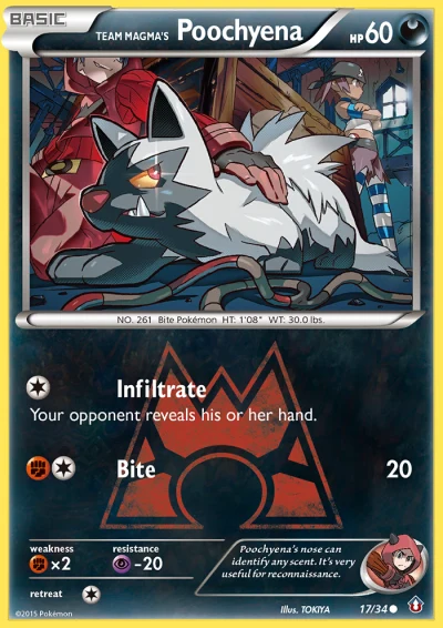 Team Magma's Poochyena #17