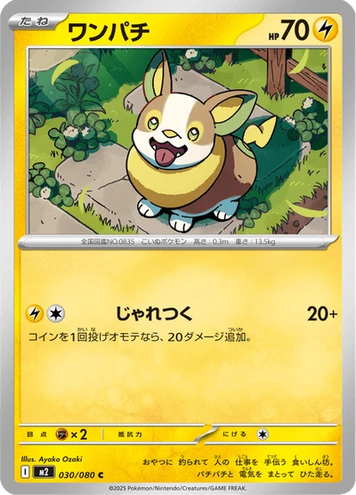 ワンパチ #30