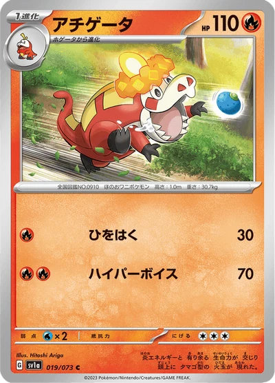 アチゲータ #19