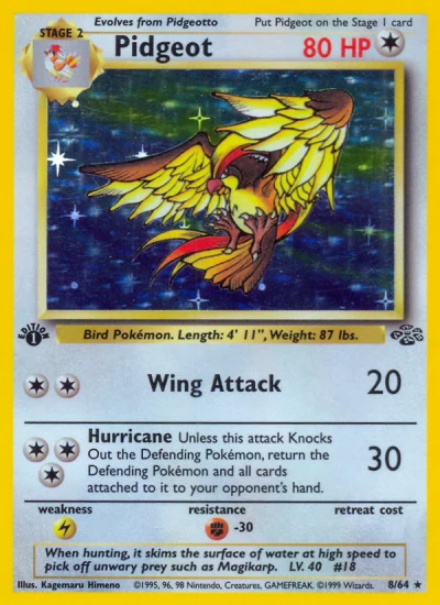 Pidgeot #8