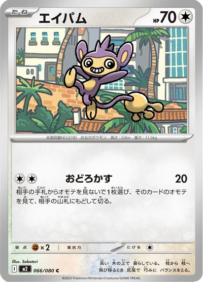 エイパム #66