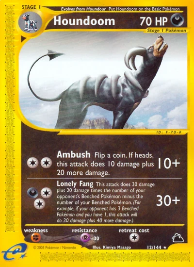 Houndoom #12