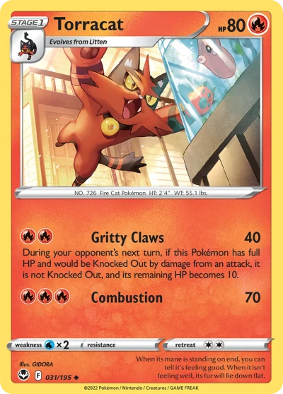 Torracat #31
