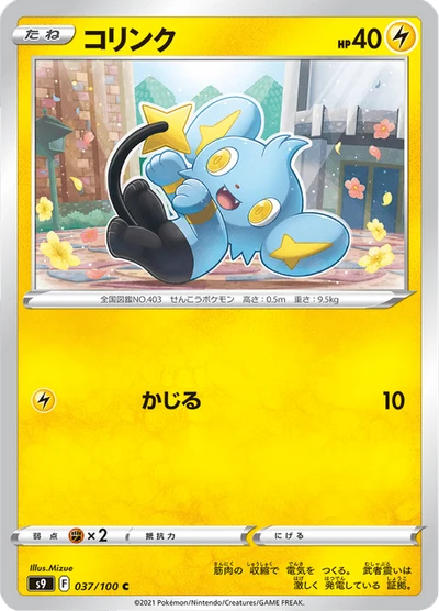 Shinx #37