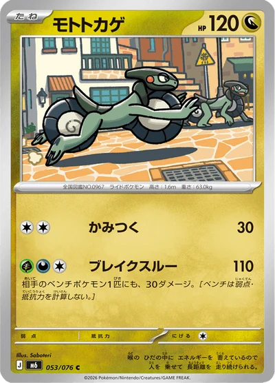モトトカゲ #53
