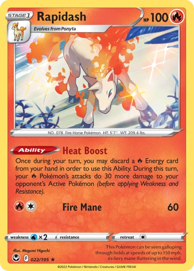 Rapidash #22