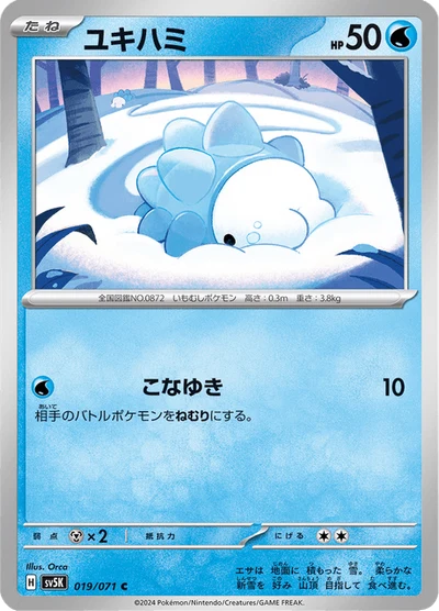 Snom #19
