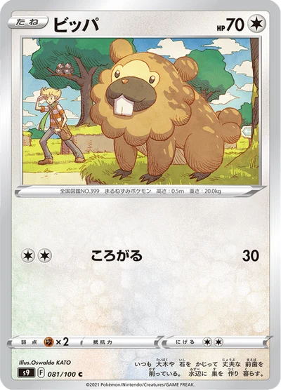 Bidoof #81